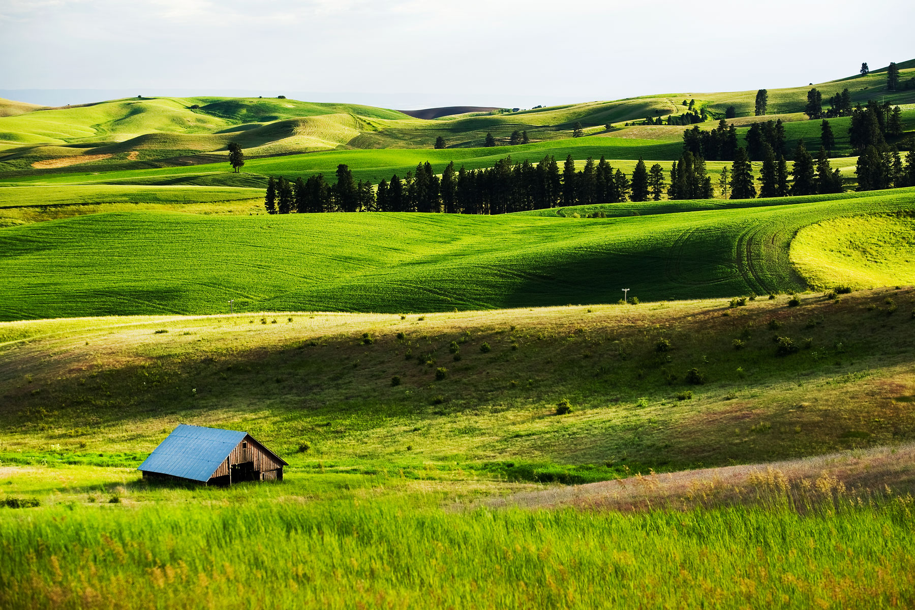 rolling-hills-barns-farmland-idaho